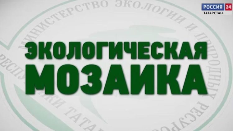 Экологическая мозаика (11.06.21)