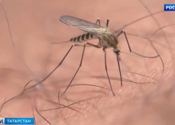 Температура будет выше нормы: синоптики дали прогноз на июль и август в Казани