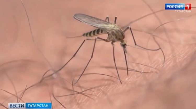 Температура будет выше нормы: синоптики дали прогноз на июль и август в Казани