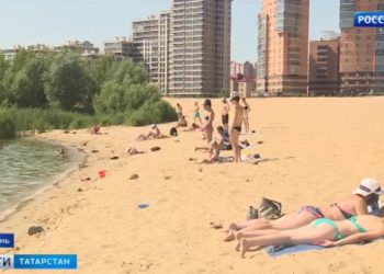 Соседство с душком: жители нескольких деревень Лаишевского района задыхаются от жуткого запаха с птицефабрики