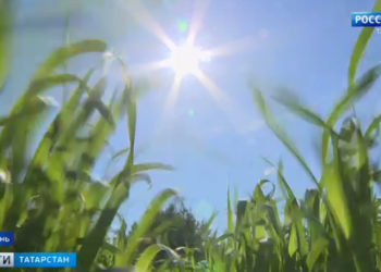Июньское пекло: в Татарстане из-за аномальной жары могут ввести режим ЧС