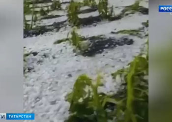 То зной, то град: несколько районов Татарстана пострадали из-за непогоды