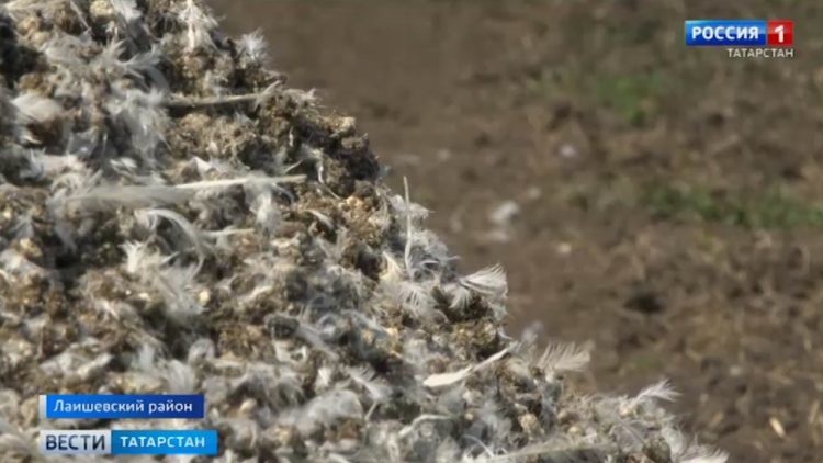 Соседство с душком: жители нескольких деревень Лаишевского района задыхаются от жуткого запаха с птицефабрики