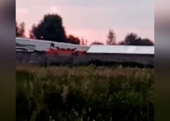 Под Казанью сняли на видео КАМАЗ, груженный трупами собак