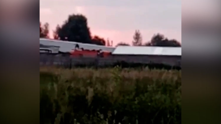 Под Казанью сняли на видео КАМАЗ, груженный трупами собак