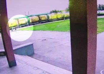 Стая бездомных собак набросилась на школьницу в Набережных Челнах