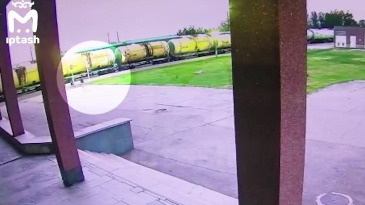 Стая бездомных собак набросилась на школьницу в Набережных Челнах