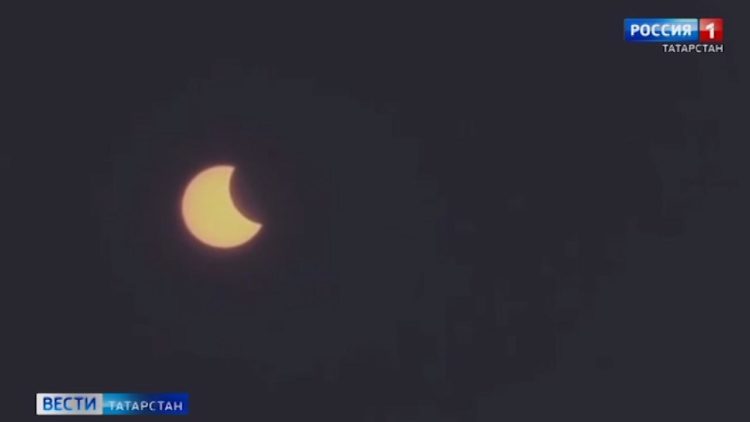 «Они бежали на меня»: Бродячие собаки продолжают нападать на детей