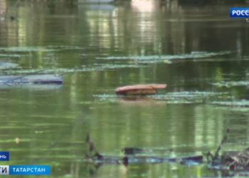 Очередь по незнанию: иностранные граждане штурмуют миграционные службы Казани