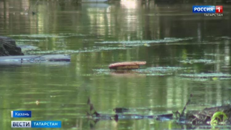 Очередь по незнанию: иностранные граждане штурмуют миграционные службы Казани