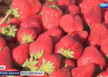 Необходимый и такой долгожданный: уникальный детский онкоцентр открыли в Казани