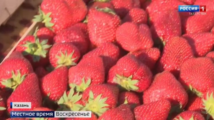 Необходимый и такой долгожданный: уникальный детский онкоцентр открыли в Казани