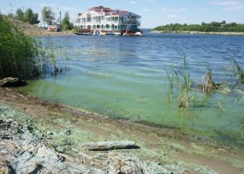 В Челнах вода у берега Камы окрасилась в ярко-зеленый цвет