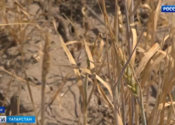 Казанцы обсудили с депутатом Госсовета Маратом Нуриевым благоустройство фонтана на Карбышева