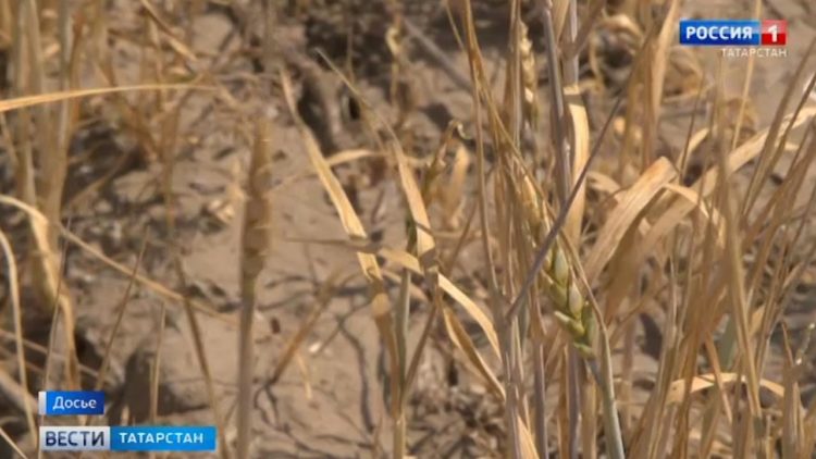 Казанцы обсудили с депутатом Госсовета Маратом Нуриевым благоустройство фонтана на Карбышева