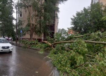 Рухнувшие деревья и снесенные крыши: последствия сильного ветра и ливня в Казани