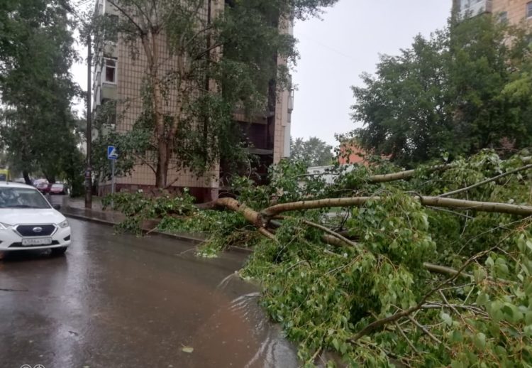 Рухнувшие деревья и снесенные крыши: последствия сильного ветра и ливня в Казани