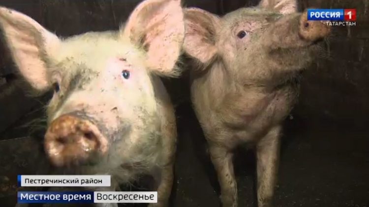 В Татарстане на диких пляжах растет число утонувших