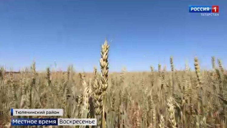 Врачи «красной зоны» рассказали, как борются за жизнь каждого больного коронавирусом