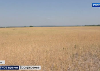Агроволга-2021: гости выставки обсудили возможность предотвращения засухи и спасение урожая