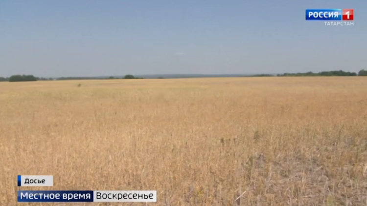 Агроволга-2021: гости выставки обсудили возможность предотвращения засухи и спасение урожая