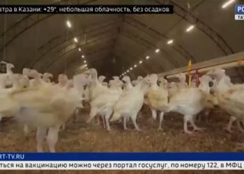 В Казани встретили олимпийскую чемпионку Марту Мартьянову