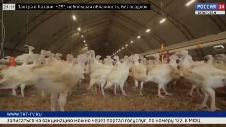 В Казани встретили олимпийскую чемпионку Марту Мартьянову