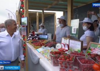 Затопленные квартиры и плывущие машины: последствия сильного ливня в Казани