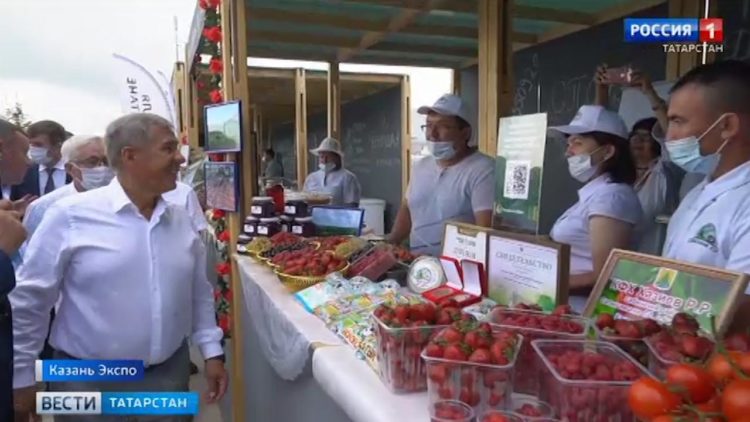 Затопленные квартиры и плывущие машины: последствия сильного ливня в Казани