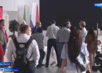 Держат в страхе целое село: в Балтасинском районе пчелы атакуют людей и нападают на домашний скот