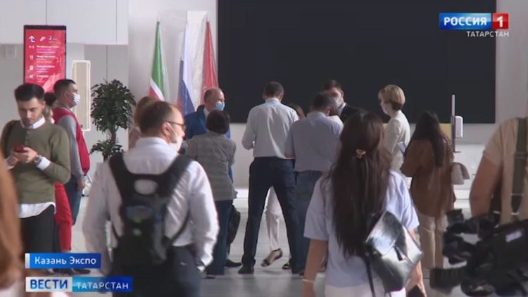 Держат в страхе целое село: в Балтасинском районе пчелы атакуют людей и нападают на домашний скот