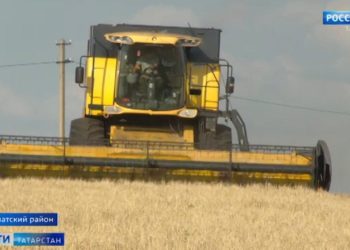 В Нурлатском районе РТ уборочная кампания проходит в сложных погодных условиях