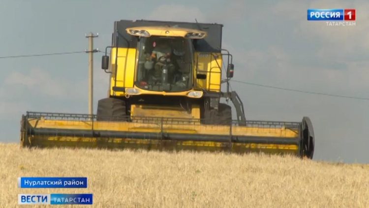 В Нурлатском районе РТ уборочная кампания проходит в сложных погодных условиях