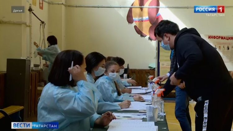 Держат в страхе целое село: в Балтасинском районе пчелы атакуют людей и нападают на домашний скот