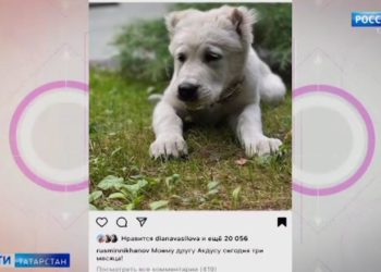 Рустам Минниханов: Беларусь — стратегический партнер для Татарстана