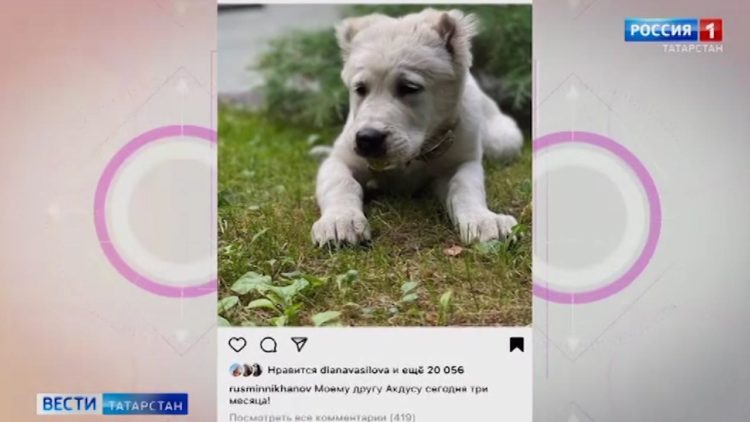 Рустам Минниханов: Беларусь — стратегический партнер для Татарстана