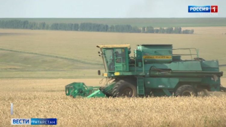 В Челнах будут судить 5 мужчин по делу об афере с поставками металла