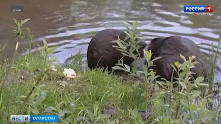 «Еще сто лет здесь можно жить»: жители Казани спасают дом с барельефами, настаивая на исторической ценности