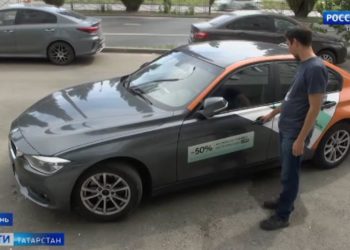 В Нижнекамском районе бездомные псы перегрызли сотни домашних кур