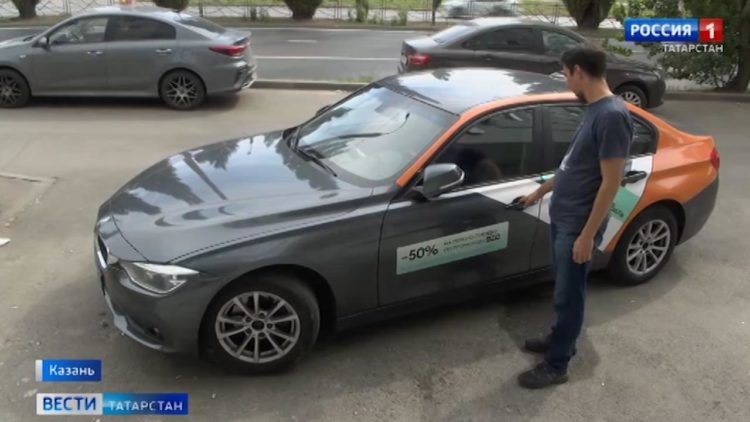 В Нижнекамском районе бездомные псы перегрызли сотни домашних кур