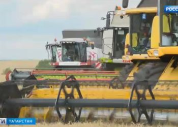 В ожидании торнадо: на Татарстан обрушились ливни и сильный ветер