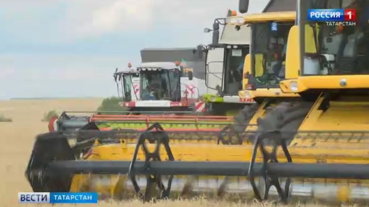 В ожидании торнадо: на Татарстан обрушились ливни и сильный ветер