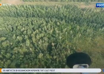 В Татарстане могут вновь ввести ограничение на посещение лесов