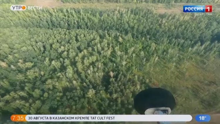 В Татарстане могут вновь ввести ограничение на посещение лесов