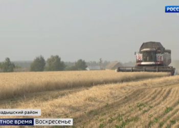 В Татарстане работы по сбору урожая с полей завершены на 96%