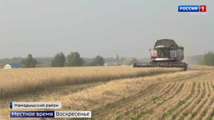 В Татарстане работы по сбору урожая с полей завершены на 96%