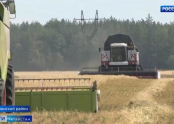 Трое детей пострадали при столкновении легковушек на трассе в Татарстане