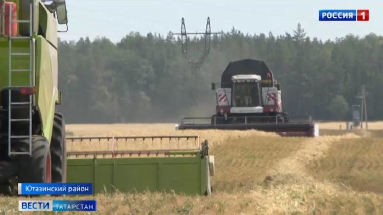 Трое детей пострадали при столкновении легковушек на трассе в Татарстане