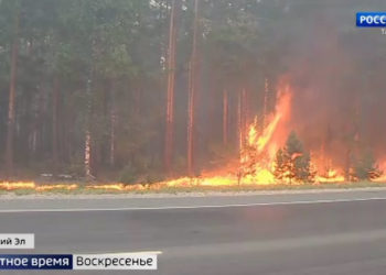 «Результат аномальных погодных явлений»: Татарстан и соседние регионы накрыли лесные пожары