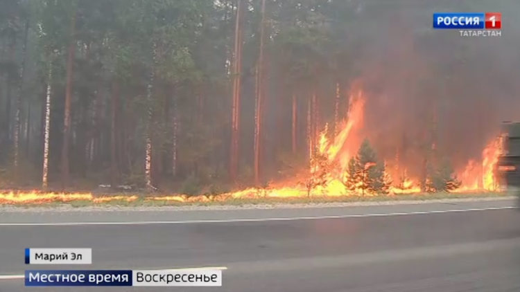 «Результат аномальных погодных явлений»: Татарстан и соседние регионы накрыли лесные пожары